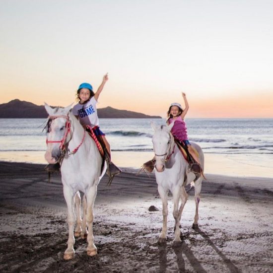 Tamarindo Horseback Riding Tour - Native's Way Costa Rica - Tamarindo Tours
