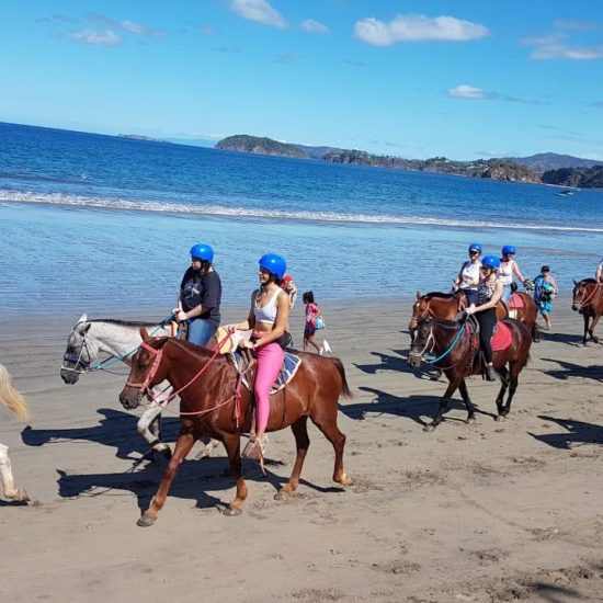 Tamarindo Horseback Riding Tour - Native's Way Costa Rica - Tamarindo Tours