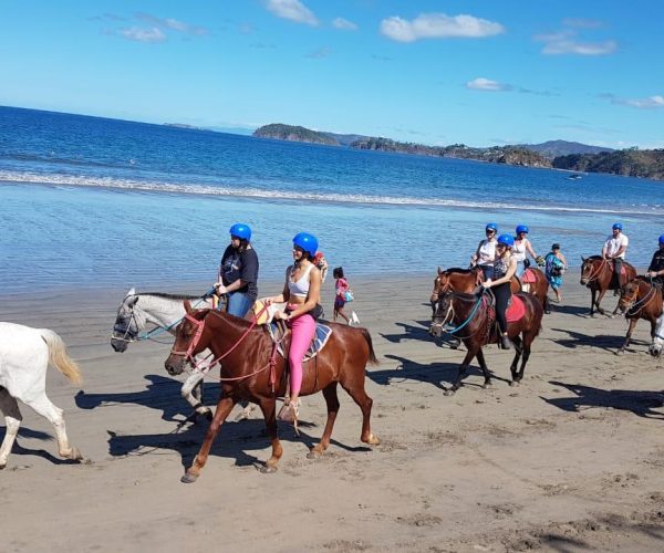 Tamarindo Horseback Riding Tour - Native's Way Costa Rica - Tamarindo Tours