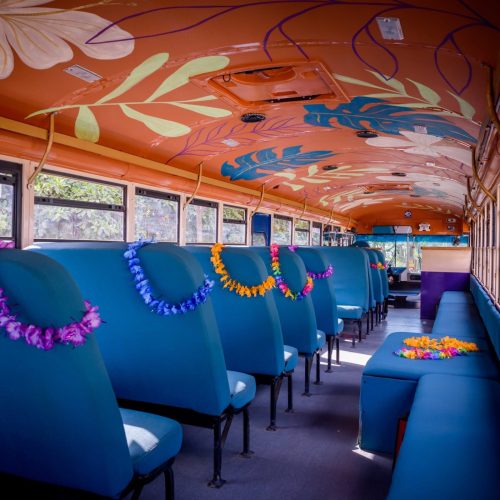 Crawler Hawler Party Bus Tamarindo - Beach and Pool Crawl