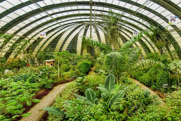 Costa Rica Butterfly Sanctuary