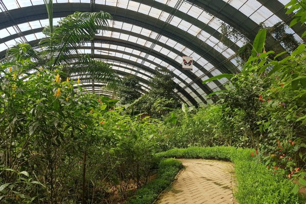 monteverde butterfly gardens