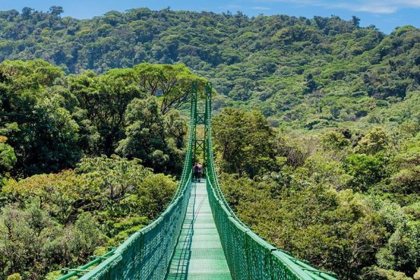 Monteverde Hanging Bridges - Native's Way Costa Rica Monteverde Tours
