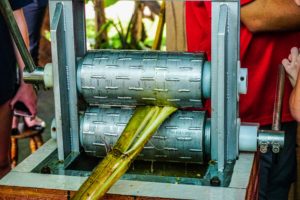 Monteverde Coffee Chocolate Tour - Native's Way Costa Rica Monteverde Tours