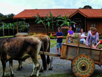 Monteverde Coffee Chocolate Tour - Native's Way Costa Rica Monteverde Tours