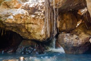 La Leona Waterfall Hike - Native's Way Costa Rica Tours