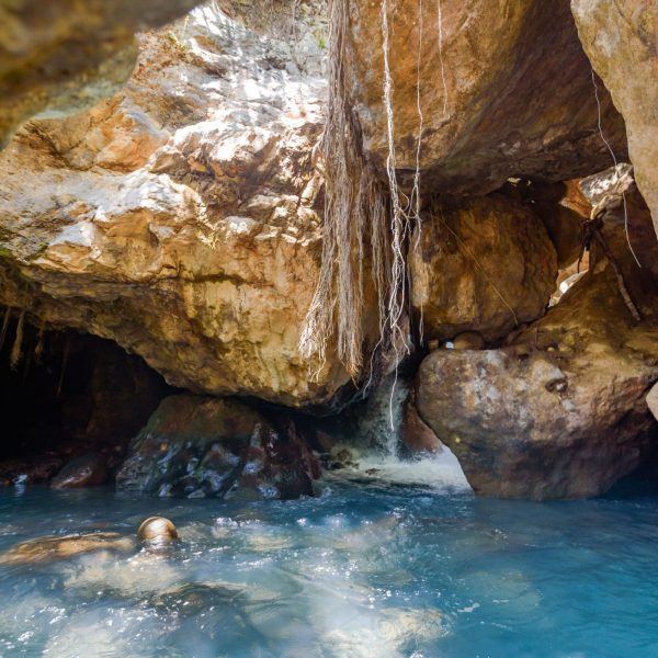 La Leona Waterfall Hike - Native's Way Costa Rica Tours