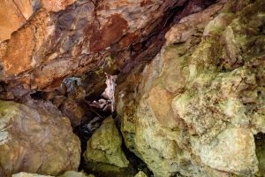 La Leona Waterfall Hike - Native's Way Costa Rica Tours