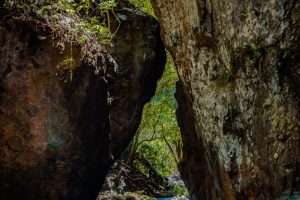 La Leona Waterfall Hike - Native's Way Costa Rica Tours
