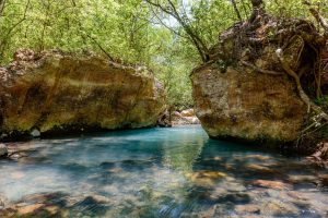 La Leona Waterfall Hike - Native's Way Costa Rica Tours