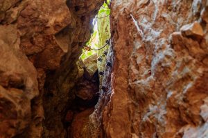 La Leona Waterfall Hike - Native's Way Costa Rica Tours