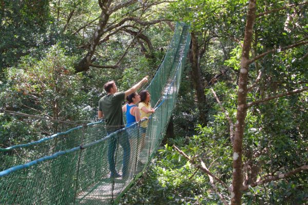 Buena Vista lodge Costa Rica