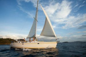 Serendipity Private Sailing Flamingo pic 12