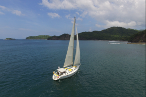 Serendipity Private Sailing Flamingo pic 1