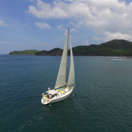 Serendipity Private Sailing Flamingo pic 1