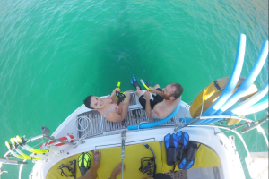 Serendipity Private Sailing Flamingo pic 11