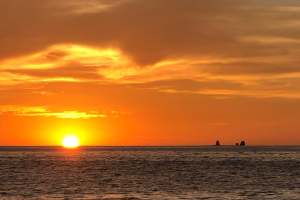 Serendipity Private Sailing Flamingo pic 6