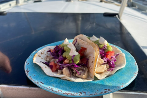 Serendipity Private Sailing Flamingo pic 5