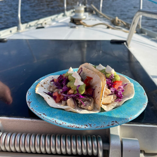 Serendipity Private Sailing Flamingo pic 5