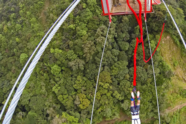 Monteverde Bungee Jumping Tour - Native's Way Costa Rica Tours