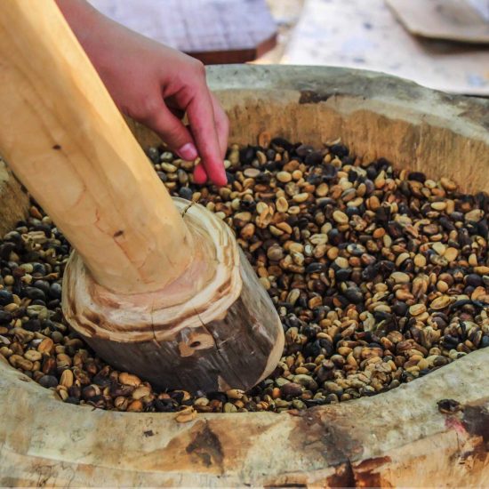 monteverde coffee chocolate tour - Native's Way Costa Rica