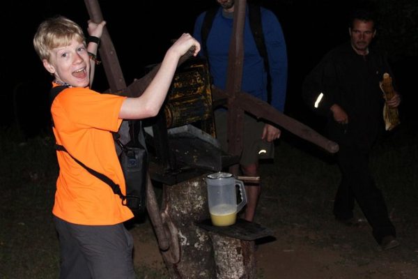 Coffee & Jungle Night Tour Monteverde