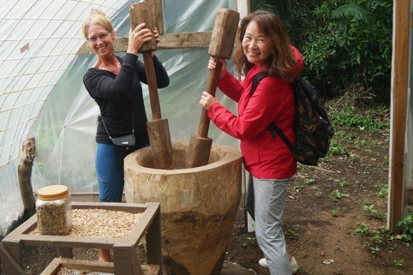 Coffee & Jungle Night Tour Monteverde