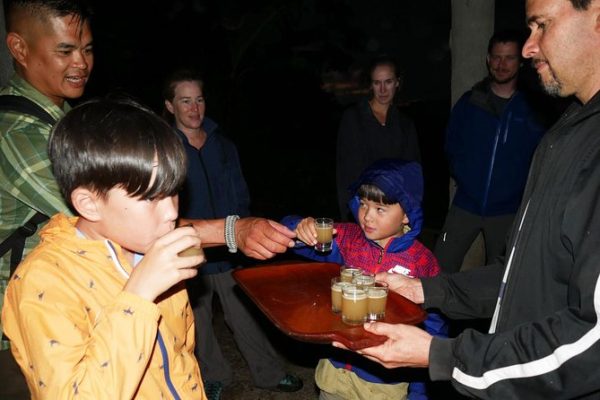 Coffee & Jungle Night Tour Monteverde