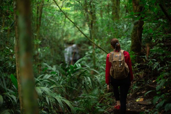 Monteverde Waterfalls Tour El Tigre - Native's Way Costa Rica Tours