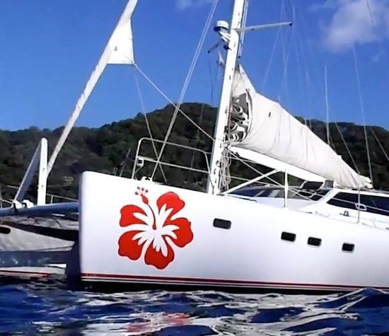 Hibiscus Private Cruise Tamarindo