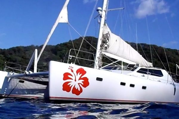 Hibiscus Private Cruise Tamarindo