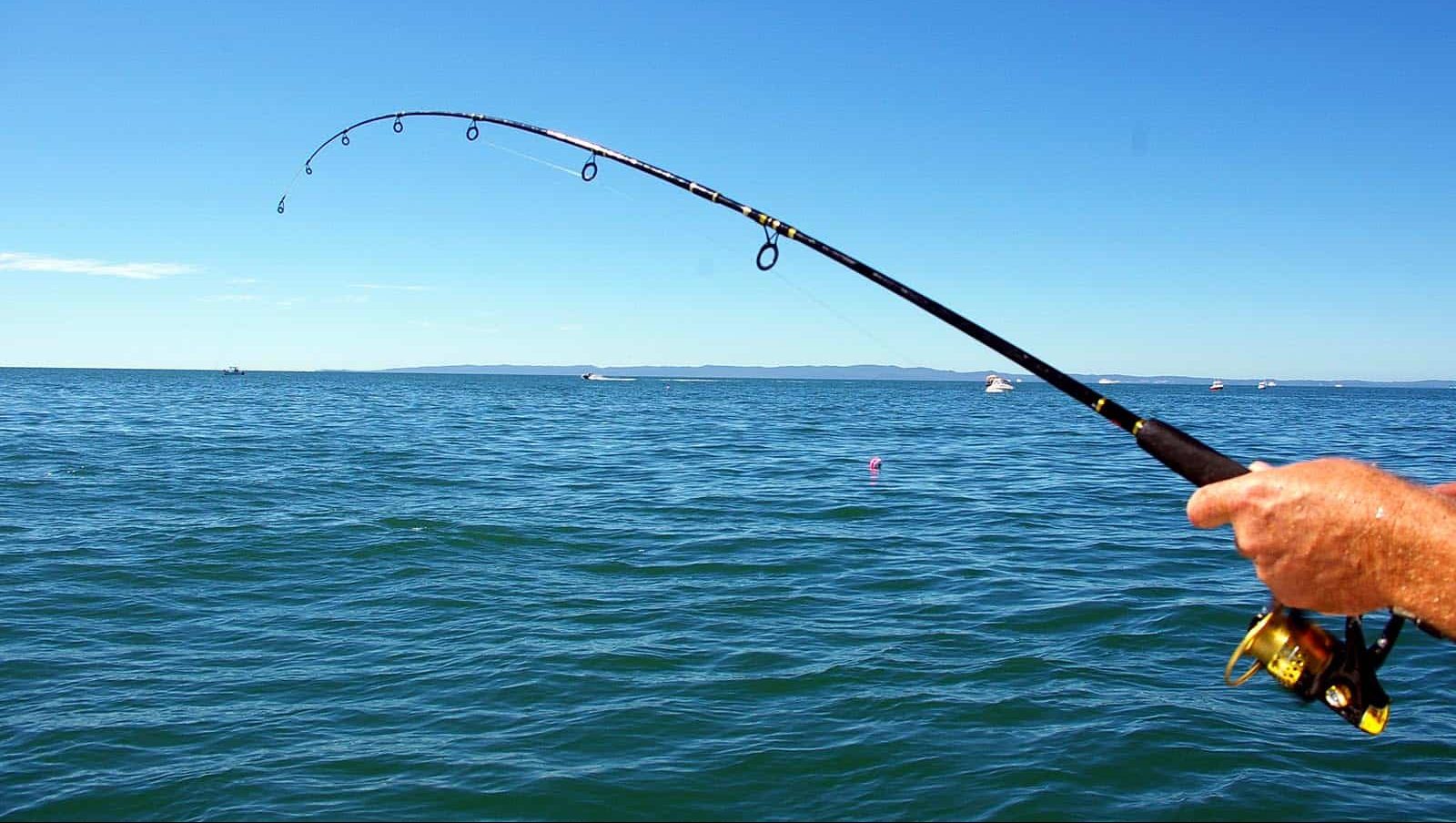 Potrero Sportfishing Boomerang