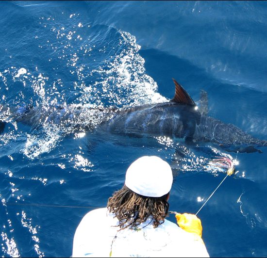 Tamarindo Sportfishing 27' Dusky