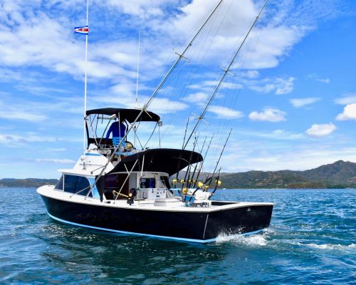 Flamingo Sportfishing - 31' Bertram up to 5 People Flamingo Marina
