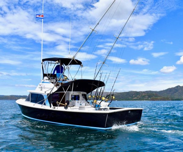 Flamingo Sportfishing - 31' Bertram up to 5 People Flamingo Marina