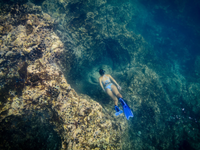 Catalinas Snorkeling from Papagayo - Native's Way Tours & Transfers