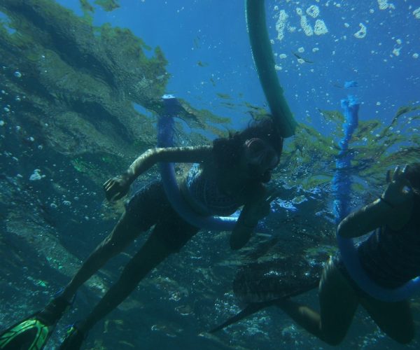 Tamarindo Snorkel Tour Catalinas Islands Native's Way Costa Rica